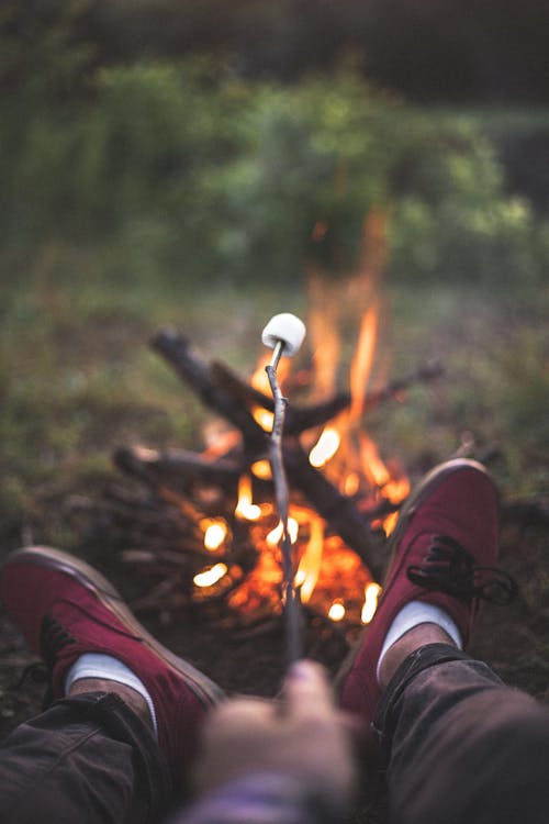 Gratis stockfoto met bonfire, camping, kampvuur