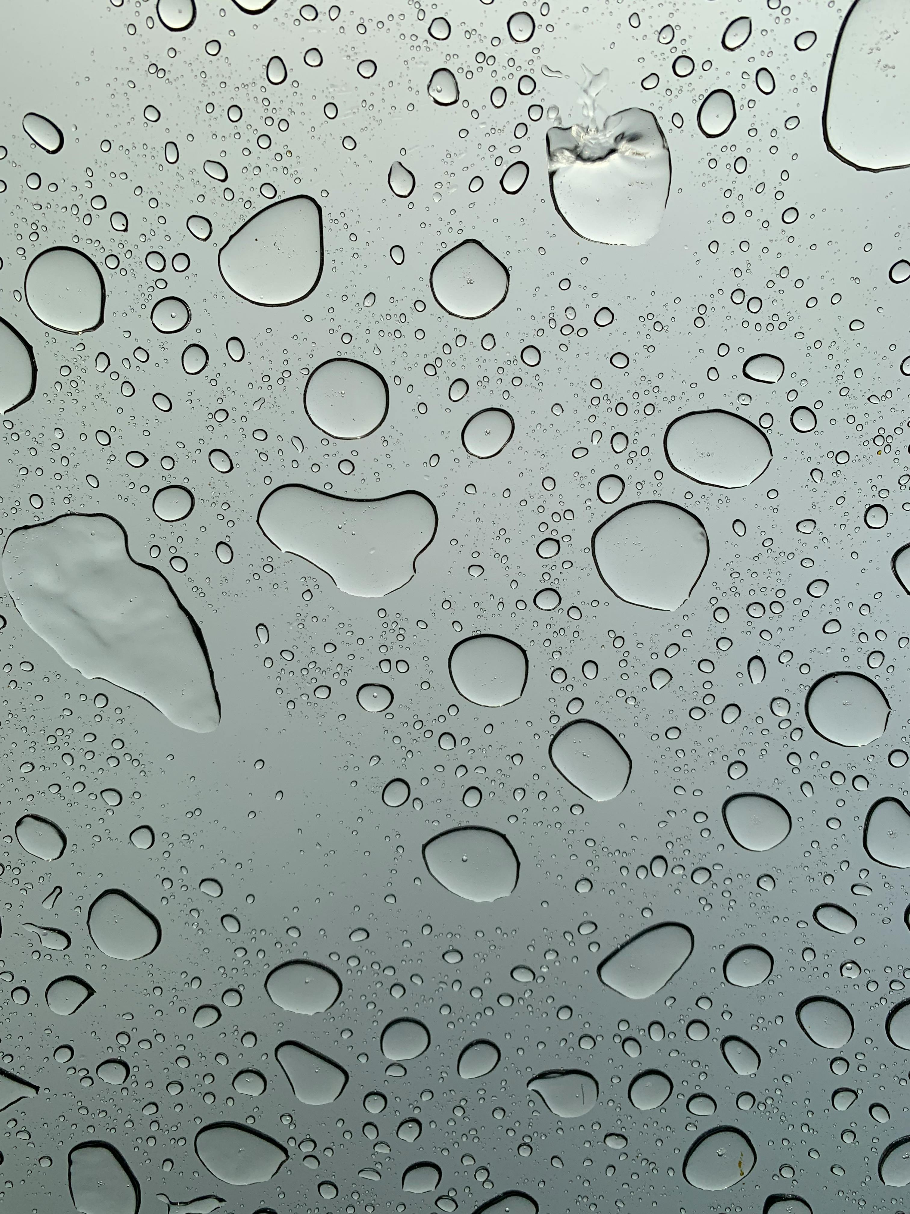 Water Droplets on a Surface · Free Stock Photo