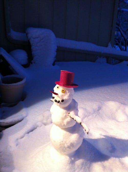 A Snowman on Snow Covered Ground