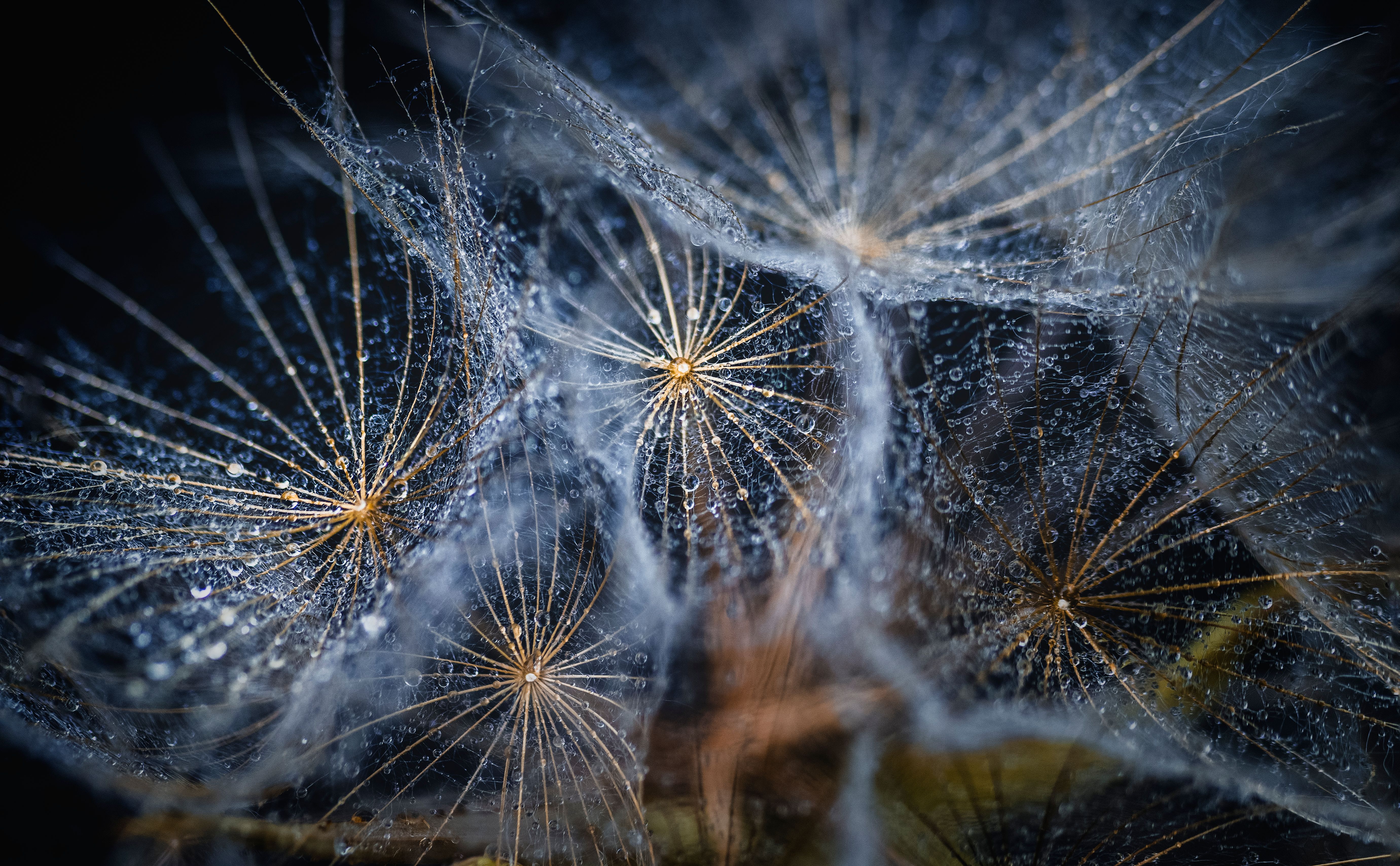 How to Find Creative Photography Inspiration in 7 Steps — Photo by Frank Cone on Pexels
