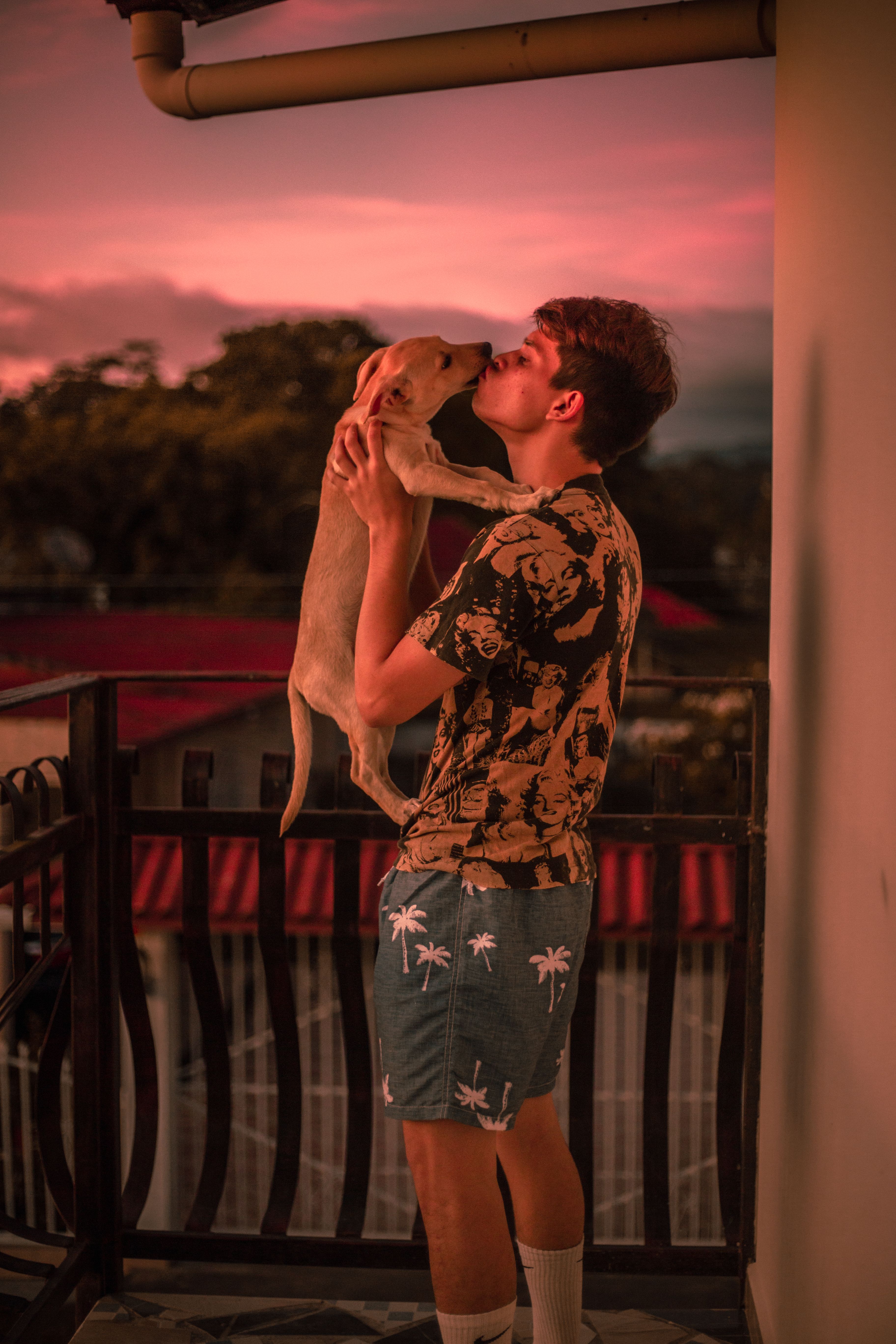 A Man Standing While Carrying a Brown Dog · Free Stock Photo