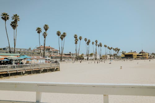 Free People on Sandy Beach Stock Photo