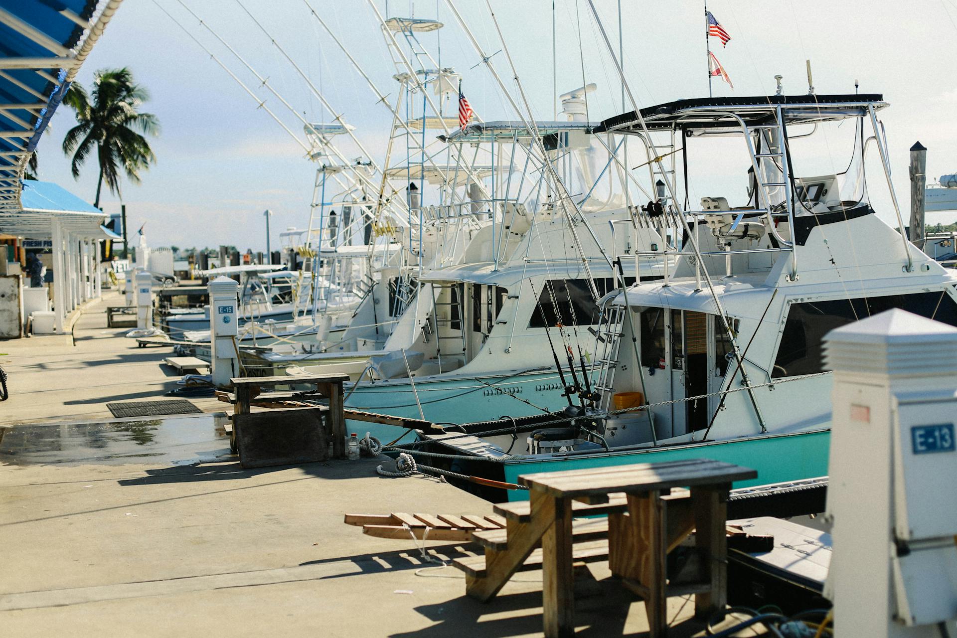 A scenic view of luxurious yachts docked at a sunny marina, with clear skies and palm trees.