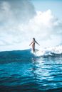 Full body graceful female surfer in white swimsuit splashing seawater while practicing in surfing on clear sunny day