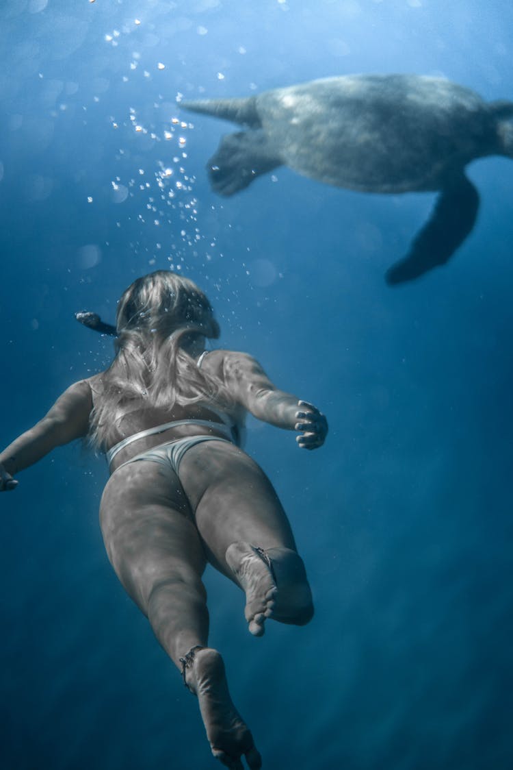 Woman Snorkeling In Transparent Sea Water Near Turtle