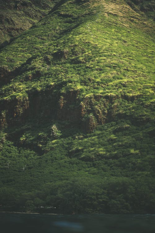 Picturesque scenery of rocky mountain ridge covered with green plants in wild valley in sunlight