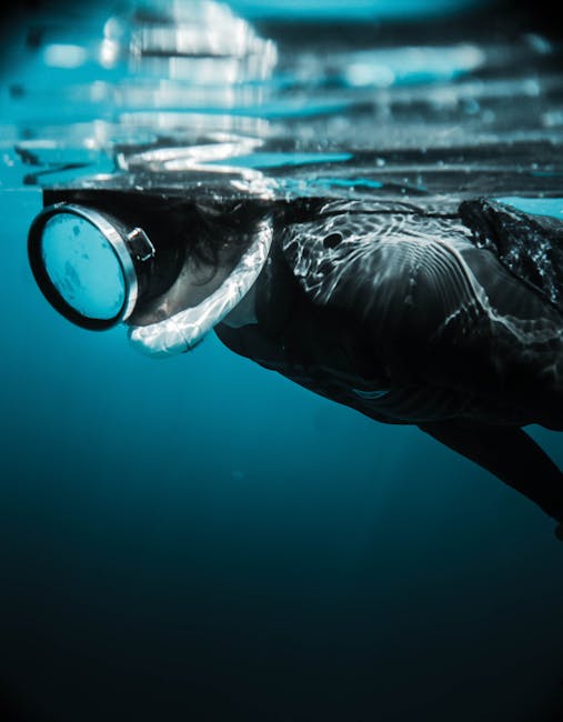 Side view of unrecognizable diver in oxygen mask and wetsuit snorkeling in deep blue ocean water