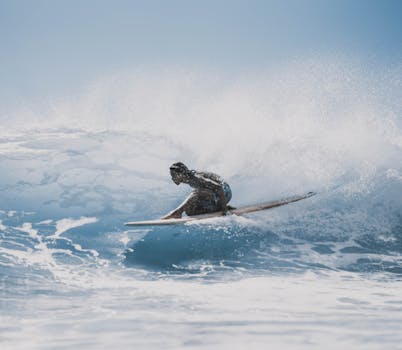 Side view of young female athlete sitting on surfboard and riding splashing waves on sunny day
