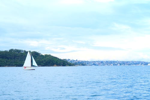 Free stock photo of beach, blue, sail boat