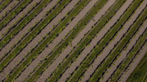 Moderniza tu empresa agrícola o crea un negocio rural