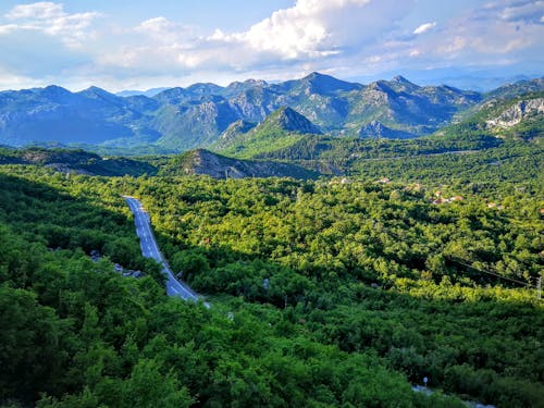 Spectacular landscape of empty asphalt road surrounded by lush green forest in amazing  mountainous valley on sunny day