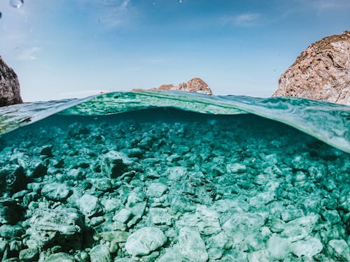 Gratis Fotos de stock gratuitas de al aire libre, bajo el agua, fondo del mar Foto de stock