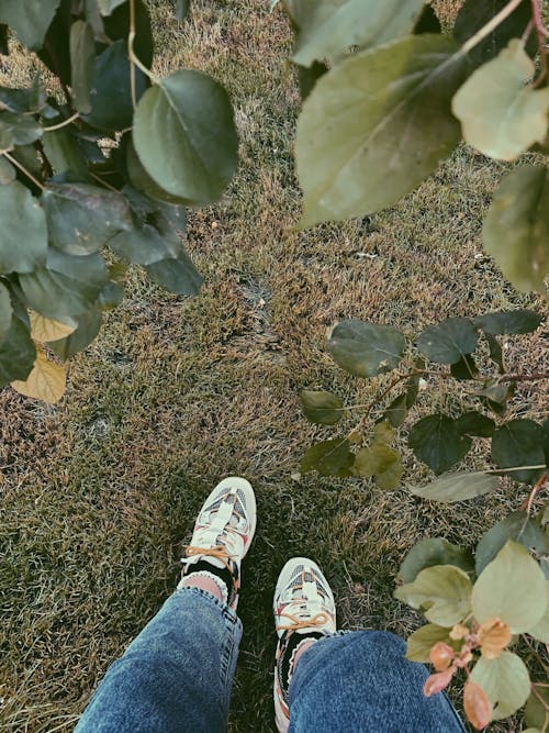 Person in Blue Denim Jeans and White Sneakers Standing on Green Grass Field
