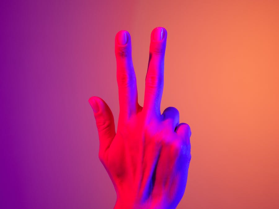 What are the three categories of audience?