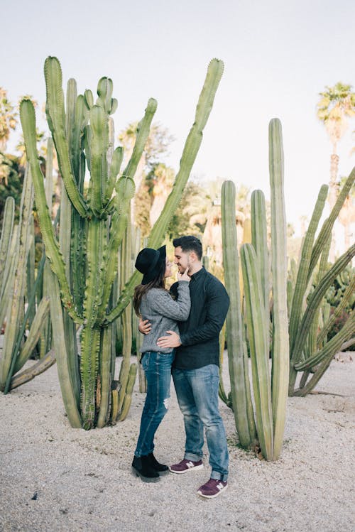 Man and Woman Holding Each Other Near Green Cactus Plants