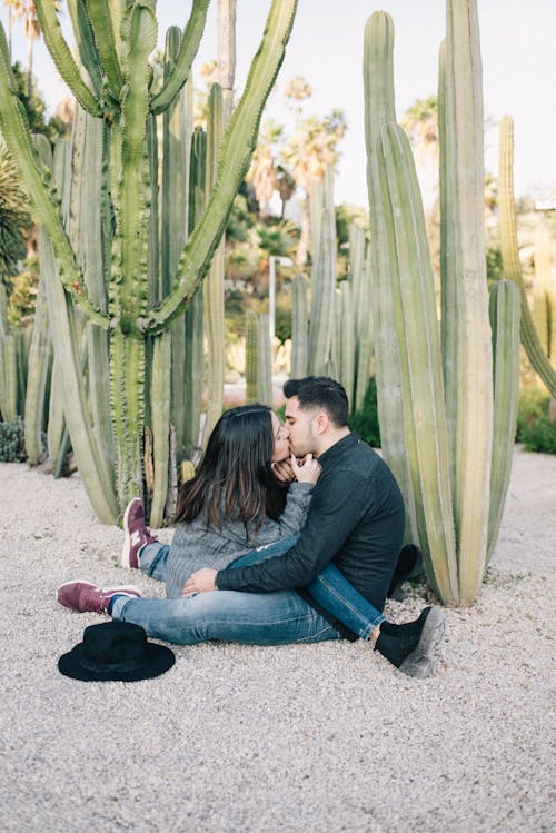 Man En Vrouw Kussen In De Buurt Van Groene Cactusplanten