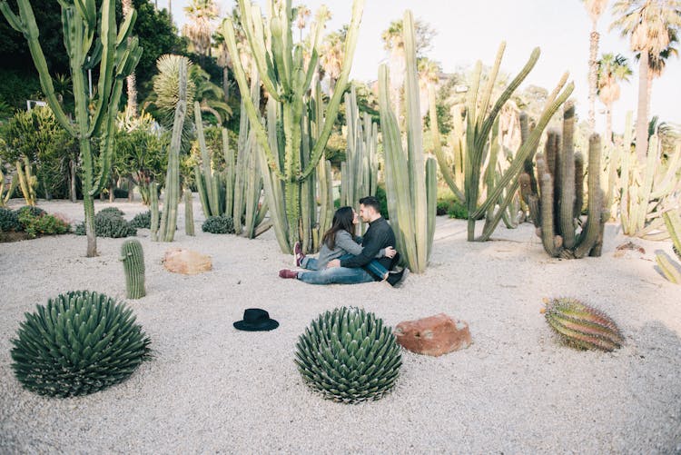 Couple Sitting On The Ground Beside Cacti