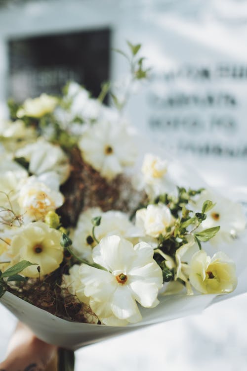 açık hava, Aşk, Beyaz çiçekler içeren Ücretsiz stok fotoğraf