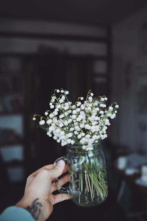 Free A delicate bouquet of Lily of the Valley flowers held in a glass jar, capturing a romantic and serene mood. Stock Photo