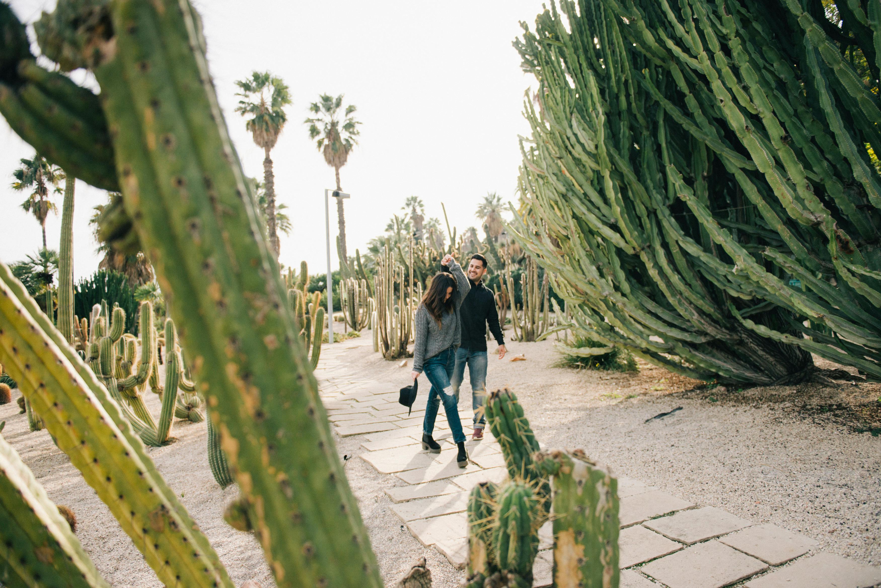 Foto profissional gratuita de adulto, agave, alegre