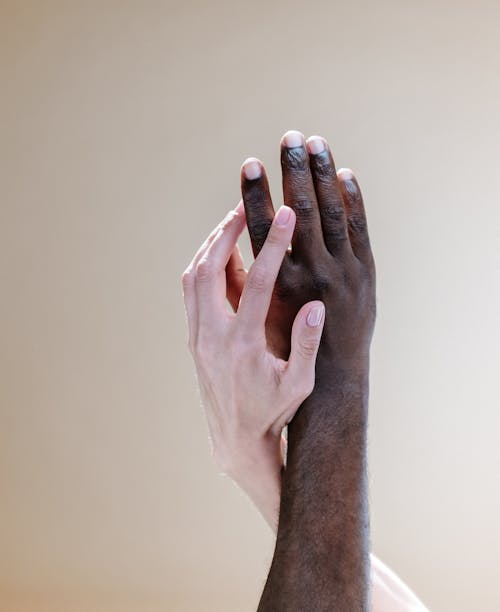 Foto d'estoc gratuïta de afecte, amor, assistència tècnica