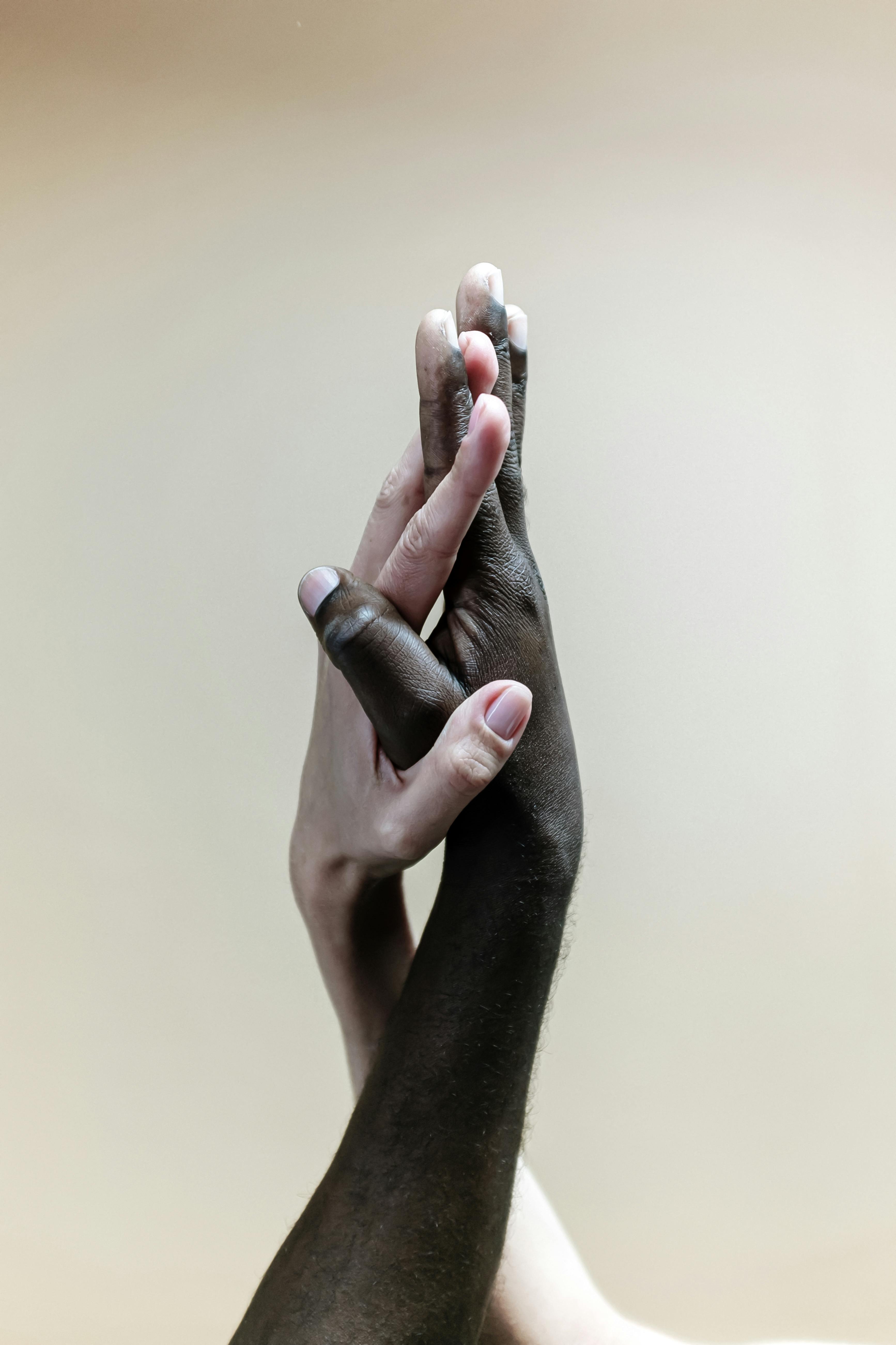 photo of people s hands
