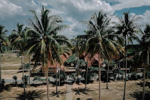 Aerial shot capturing lush palm trees and traditional houses under a partly cloudy sky.