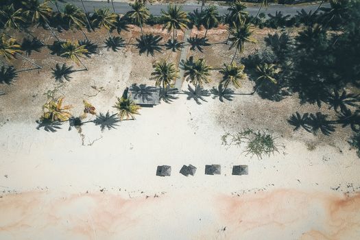 Bird's eye view of a tropical beach lined with palm trees, captured during the day with visible shadows.