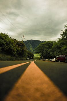 A picturesque road through lush foliage leading toward a distant mountain under a cloudy sky.