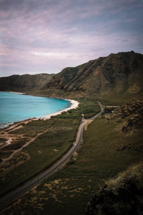 Foto d'estoc gratuïta de a la vora de l'oceà, arbres, carretera