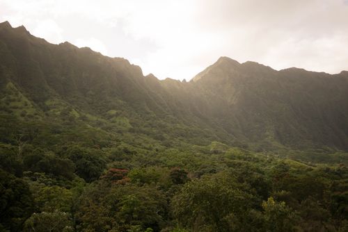 Free Peaceful daytime view of verdant mountain range and lush greenery under cloudy sky. Stock Photo