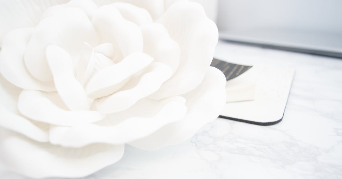 Chroma Bloom 1 image text