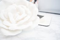 在模糊的大理石背景下，一朵精致的白玫瑰散发着优雅的气息