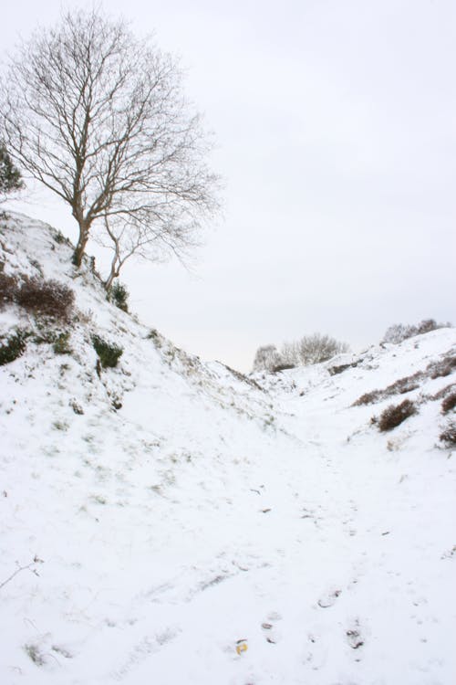 士兵山自然保護區, 雪 的 免費圖庫相片