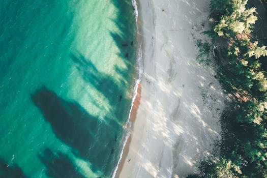 Capture of a tranquil beach with turquoise water and lush forest from above. Perfect for nature lovers.