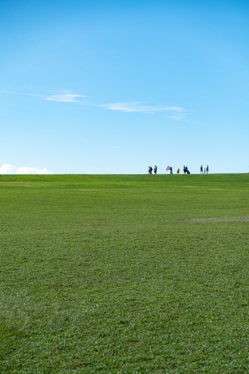 People Walking on Green Grass Field Under Blue Sky