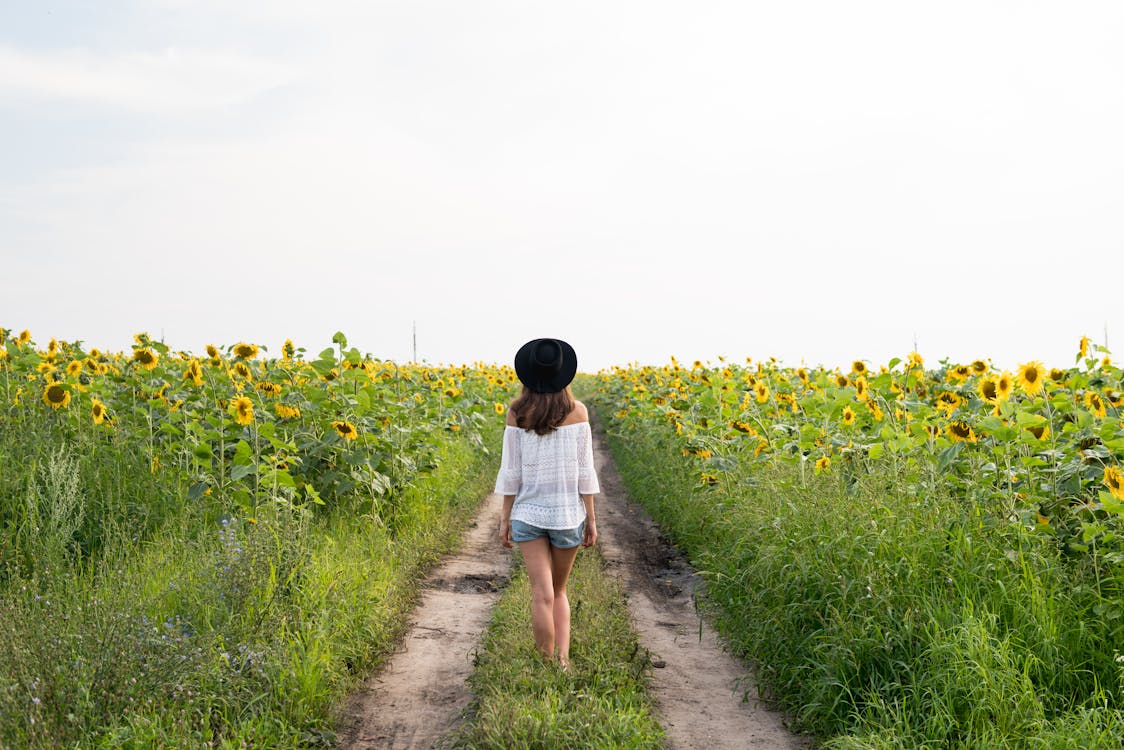 Foto profissional grátis de andando, ao ar livre, área