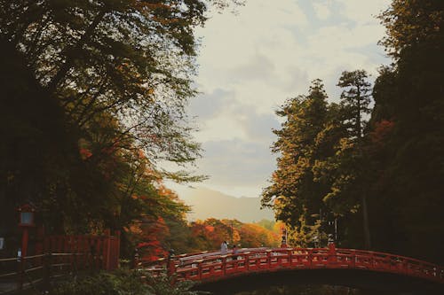Free stock photo of japan autumn, japan travel Stock Photo