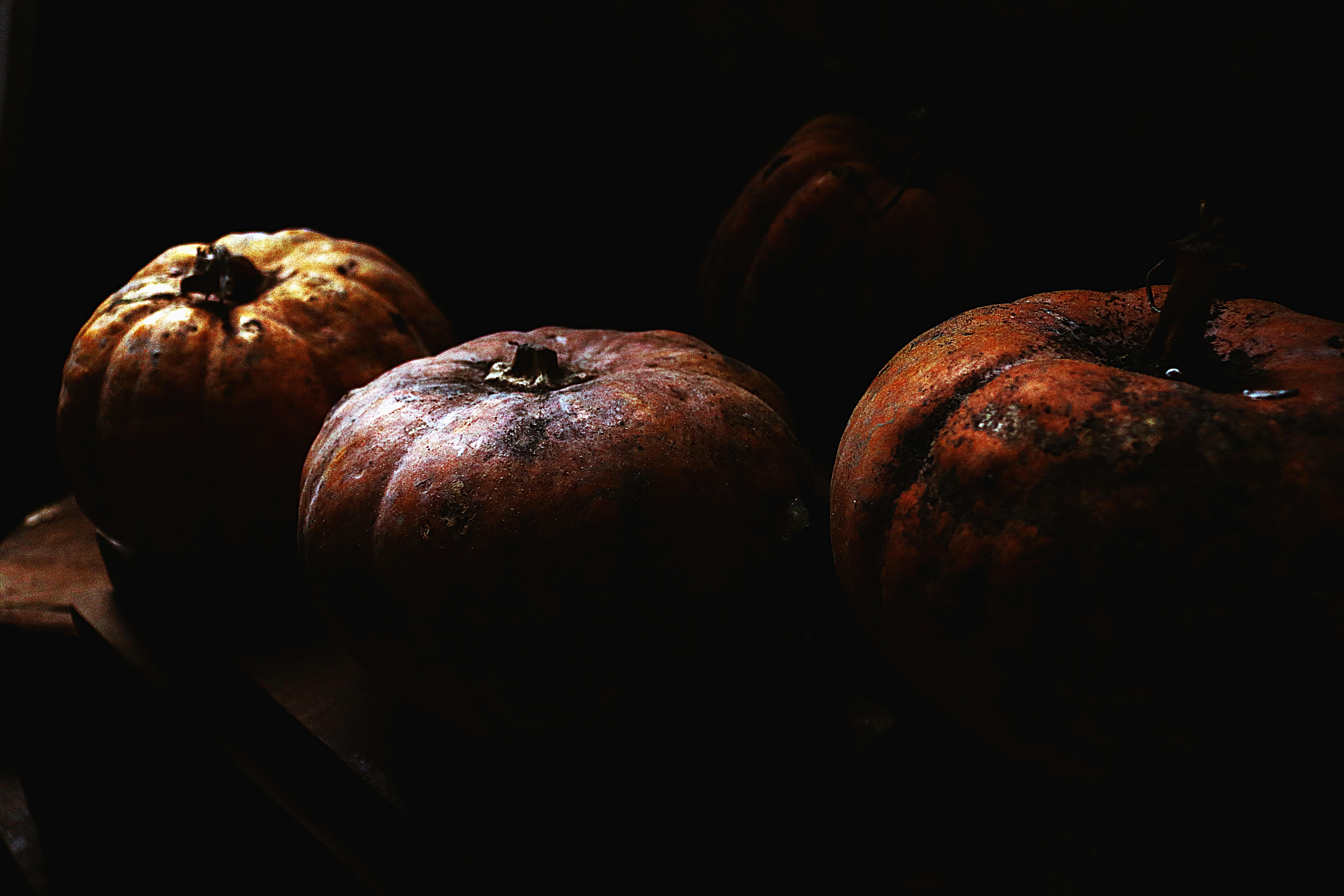 Free stock photo of fruits, pumpkin, pumpkins