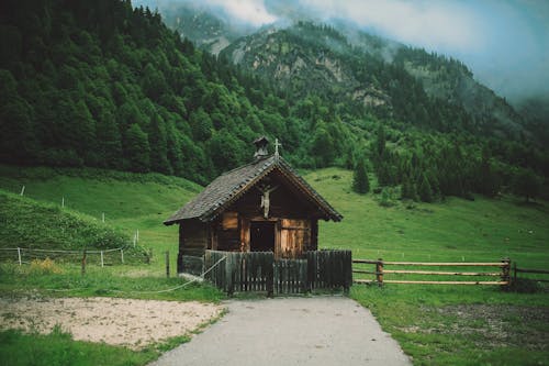 Коричневый деревянный дом в окружении травы