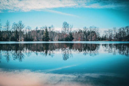 Free Body of Water Reflecting Trees Stock Photo