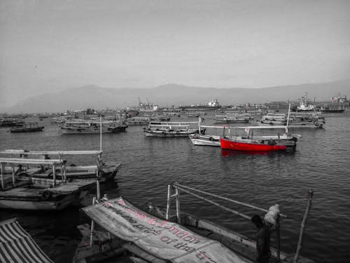 Foto d'estoc gratuïta de barca, karachi, mar