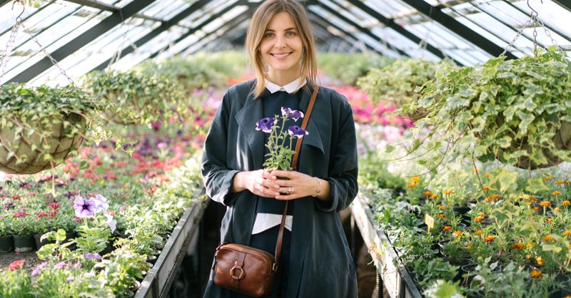 Pétunia : Guide Plantation et Entretien 2026
