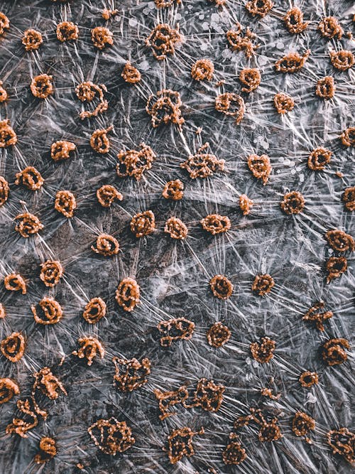 Foto profissional grátis de abstrair, alimento, artístico