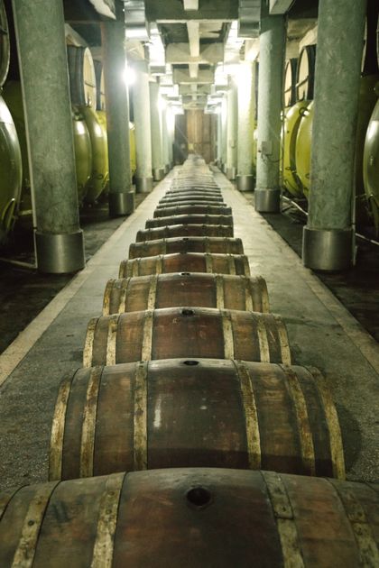 A long cellar corridor lined with ageing casks — photo by ArtHouse Studio on Pexels