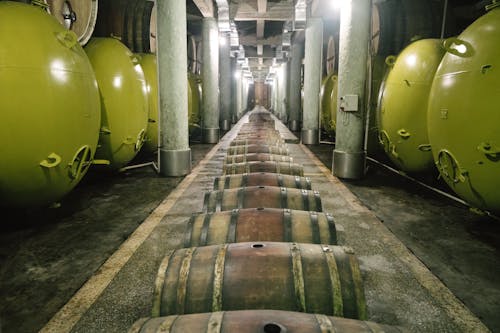 Barrels at a Winery