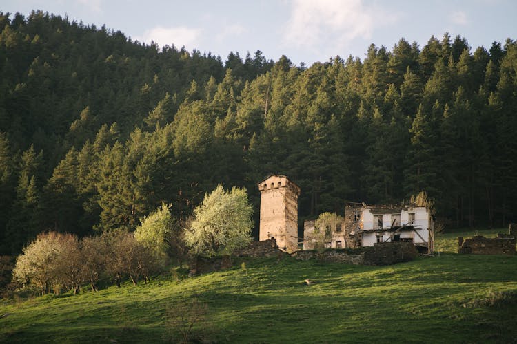 Church Ruins On A Forest Field