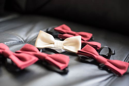 Set of elegant bow ties on leather sofa