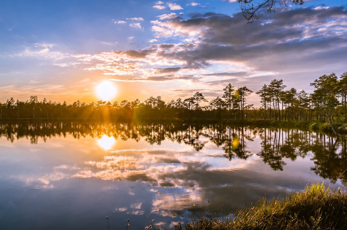 Free Body of Water Surrounded With Green Trees Stock Photo