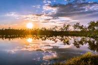 平静的湖面上，日落映照着树木的倒影，营造出宁静的风景